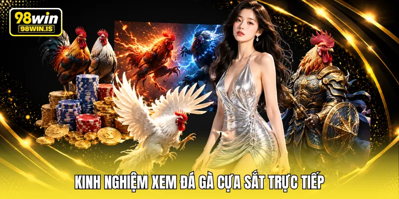 Kinh nghiệm xem đá gà cựa sắt trực tiếp 